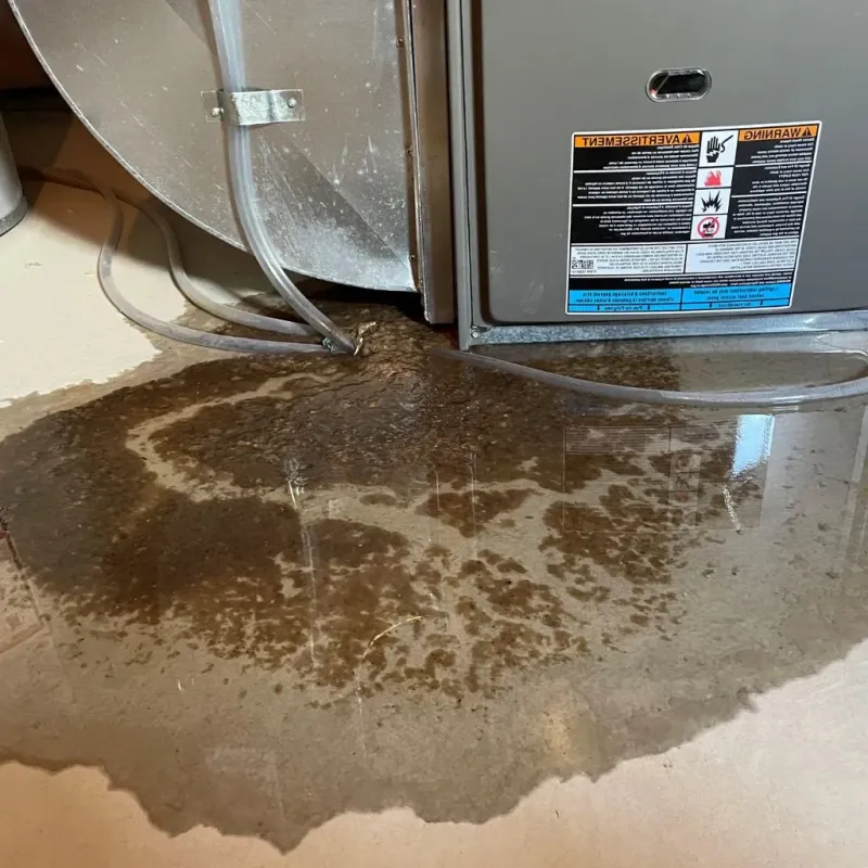 Pipe Burst and Leak Restoration in Piedmont, OK